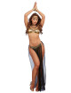 Costume sexy de danseuse Orientale - DG11859COS Dreamgirl 