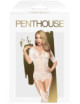 Sugar drop Bodystocking - Blanc Penthouse 