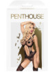 Wild virus Bodystocking - Noir Penthouse 