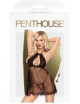 Libido boost Nuisette - Noir Penthouse 