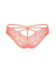 Frivolla Culotte - Corail Obsessive 